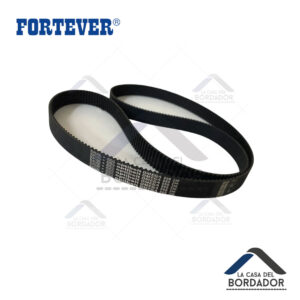 CORREA EJE X, FORTEVER  HALO-X